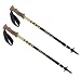 Sports : Leki Vario Trekking Wanderstock RETRO , Modell 2008