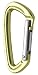 Black Diamond Positron (Straight or Bent Gate) Carabiner