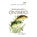 The ROM Field Guide to Freshwater Fishes of Ontario