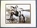 Black and White Southwestern & Native American Photograph Print-Blackfoot Chief