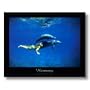 Girl Woman Naked Swims With Dolphins Fish Animal Wildlife Picture Art Print