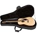 Protec MAX ACOUSTIC GUITAR CASE
