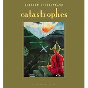 Catastrophes