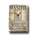 Chihuahua Wanted Fridge Magnet No 1