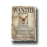 Chihuahua Wanted Fridge Magnet No 1