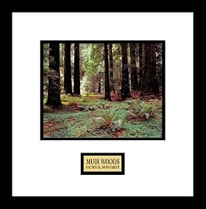 Muir Woods National Monument Photos Parks