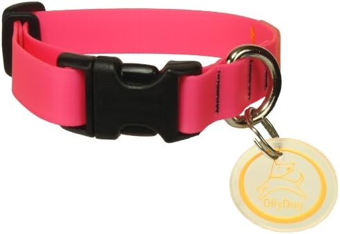 OllyDog Tilden Collar, Waterproof Dog Collar, Coated Stink-Proof Webbing, Easy to Clean with Side-Release Buckle, Puppy Collar, Great for Water-Loving Dogs (Medium, Pink)