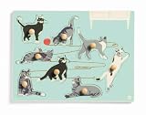 KID O Noticing Differences- Cats Puzzle
