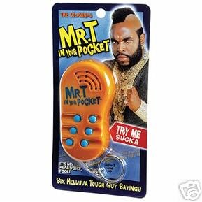 Childrens Toyshop  Toys : Mr T in Your Pocket Talking Keychain