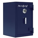 Buy Amsec Home Security Safes