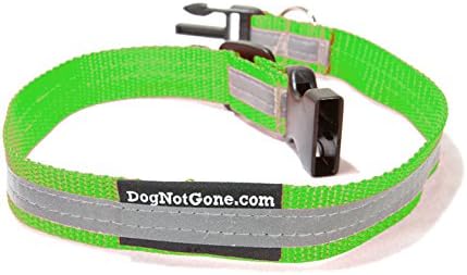 Dog Not Gone 19" Reflective Collar, Medium, Green