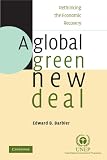 A Global Green New Deal: Rethinking the Economic Recovery