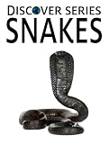 Snakes: Discover Series Picture Book for Children (Kindle Kids Library)