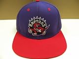 NBA Toronto Raptors Purple 2 Tone Logo Snapback Cap Retro