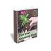 Find Your Gardening Style - An introduction to 11 different styles of gardening from Butterfly to Container gardening.