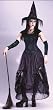 Bewitching Enchantress Womens Classic Witch Costume Halloween