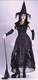 Bewitching Enchantress Womens Classic Witch Costume Halloween