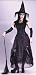 Bewitching Enchantress Womens Classic Witch Costume Halloween