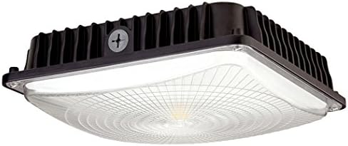LEDLAND LED Canopy Light (CREE LED COB2530 inside), 65W (175W MH Replacement), 5900 Lumens, 5000K (Daylight White), UL-Listed and DLC-Qualified