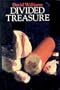 Divided Treasure: A Mark Treasure Mystery