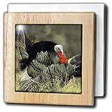 Wild Turkey Gobbler - 6 Inch Tile Napkin Holder