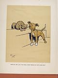 CAT DOG PET ANIMAL COLOR OLD PRINT ANTIQUE ANTIQUE 1914
