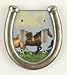 Horse Light Double Switchplate Cover Western switch plate