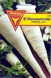 Pietruska Hamburg Root Parsley 100 Seeds - B000VDJWNC