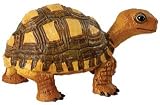 Safari Incredible Creatures: Tortoise