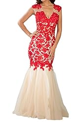 V-neck Tulle Lace Mermaid Evening Dress/Prom Dress 