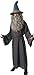 Rubie's Costume The Hobbit Gandalf Costume