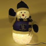 NCAA Kentucky Wildcats Fiber Optic Snowman 16