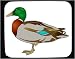 Mouse Pad with male, vertebrate, drake, and, duck, mallard, waterflowl, animal, avian, bird
