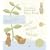 Peter Rabbit Naturally Better Baby Book (Baby Record Book)