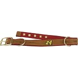 Pets & Pals Jeff Gordon Leather Dog Collar