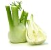 Wallmonkeys Peel and Stick Wall Decals - Fennel - 36