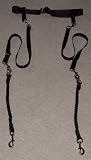 Hands free leash with 3' adjustable leash and bungee extension for two dogs