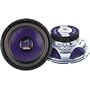 Blue Cone High Powered Subwoofer