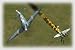 IL2