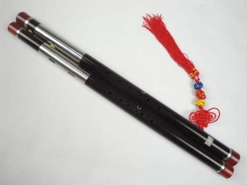Premium Ebony Bawu Dual Pipe Ba Wu Flute + Case #108 - FREE SHIPPING
