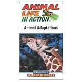 Animal Adaptations (Animal Life in Action)
