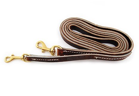 Leerburg's Leather Prong Collar Leash? - Brown - 6 ft x 3/4 in - Handmade by the Amish
