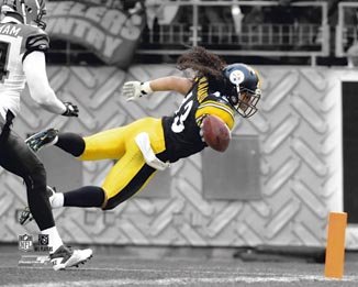 Troy Polamalu Steelers 8x10 Photograph AANB140