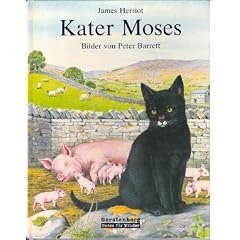 Kater Moses