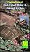 Practical Care of Red-Eared Slider and Painted Turtles [VHS]