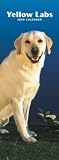 Labrador Retrievers, Yellow 2009 Slimline Calendar