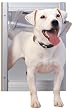 PetSafe Classic Pet Door, Medium, Satin PetSafe Classic Pet Door, Medium, Satin
