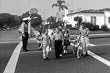 Pedestrian Safety For Preschoolers: Walking to School DVD (1950s)
