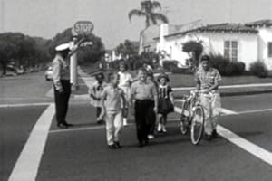 Pedestrian Safety For Preschoolers: Walking to School DVD (1950s)