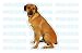 Pet Supplies : RHODESIAN RIDGEBACK - Dog Decal - sticker dogs car got